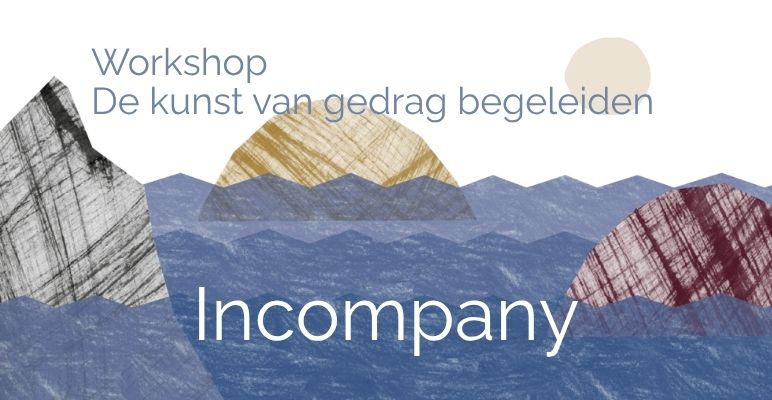 Workshop naam (2) © Dummy afbeelding bij de DIVI Salespagina Building Blocks van Let's get LOES (www.letsgetloes.nl)