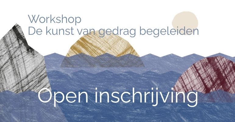 Workshop naam (3) © Dummy afbeelding bij de DIVI Salespagina Building Blocks van Let's get LOES (www.letsgetloes.nl)